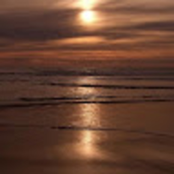 Meet your Posher, Joely - Picture 1 of 1